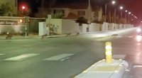 Neeilinis vaizdelis didmiestyje: atidžiau į kelią įsižiūrėjęs vairuotojas griebė kamerą (nuotr. stop kadras)