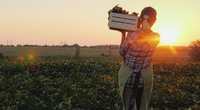 Ūkininkė (nuotr. Shutterstock.com)