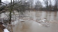 Klaipėdos rajone potvynis traukiasi, Šilutės rajone vanduo kyla  BNS Foto