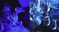 Nuostabūs kūriniai iš ledo skulptūrų vilioja lietuvius: tautiečiai skulptoriai neliko ir be prizų (tv3.lt koliažas)