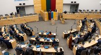Parlamentaras siūlo neapmokestinti Lietuvos kariuomenei ir Šaulių sąjungai skirtos paramos   (Paulius Peleckis/ BNS nuotr.)