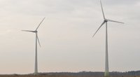 Vėjo jėgainės (Algirdas Kubaitis/Fotobankas)