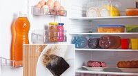 Į šaldytuvą įdėkite arbatos maišelį (nuotr. Shutterstock.com)