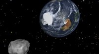 Asteroidai (nuotr. SCANPIX)