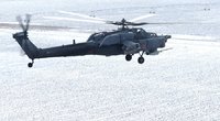 Rusų sraigtasparnis (nuotr. SCANPIX)