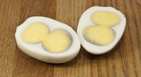 Kiaušinio tryniai (nuotr. Shutterstock.com)