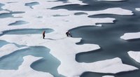 Rekordiškai šilti orai Arktyje lėmė masinį ledo tirpimą (nuotr. SCANPIX)