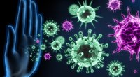 Imuninė sistema  (nuotr. Shutterstock.com)