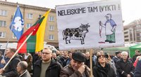 Ūkininkai plūsta prie Seimo: jų čia – daugiau kaip 1 tūkst. (Žygimantas Gedvila/ BNS nuotr.)