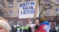 Sausio 13-osios minėjime – būrys protestuotojų (Fotodiena/ Viltė Domkutė)