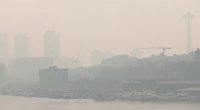 Sietle ir Portlande – tirštas smogas: gyventojai raginami neiti į lauką be apsauginių kaukių (nuotr. stop kadras)