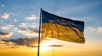 Ministerija siūlo dar metams nukelti reikalavimą dėl kalbos mokėjimo ukrainiečiams (nuotr. Shutterstock.com)
