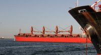 Kinija ragina nutraukti laivų persekiojimą Raudonojoje jūroje  (nuotr. SCANPIX)