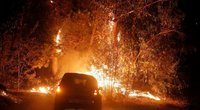 Pragaras žemėje: šokiruojantys vaizdai iš gaisrų niokojamos Čilės (nuotr. SCANPIX)