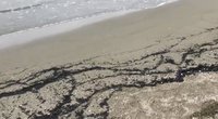 Atidžiau į smėlį įsižiūrėjusi moteris negalėjo patikėti – tai driekėsi per visą paplūdimį (nuotr. stop kadras)