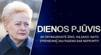 Ar Grybauskaitė žino, ką sako: NATO sprendimai jau paseno dar nepriimti? (tv3.lt koliažas)