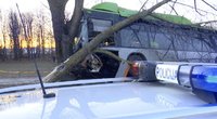 Kraupi avarija Klaipėdoje: autobusas rėžėsi į medį, sužeisti keleiviai (nuotr. TV3)