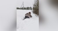 Internetą užkariauja įspūdingas lietuvių poros kelias namo: sniego – iki juosmens (nuotr. stop kadras)