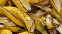 Bananų žievės (nuotr. 123rf.com)