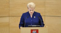 Prezidentė Dalia Grybauskaitė (nuotr. Fotodiena.lt)