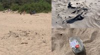 Pasipiktino šiukšlėmis Palangos paplūdimyje: „Eini ir bijai, kad kojas susižeisi“ (tv3.lt fotomontažas)