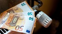 Eurai, pinigai (Fotodiena/ Viltė Domkutė)