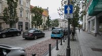 Eismas Vilniaus senamiestyje (Julius Kalinskas/ BNS nuotr.)