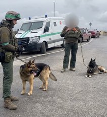 Charkive – tarnybinių šunų pagalba kariškiams: jie ieško ne tik sprogmenų