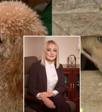Gyvūnų teisių advokatė – apie žmonių žiaurumą: pakorė du šunis, kad nereikėtų prižiūrėti