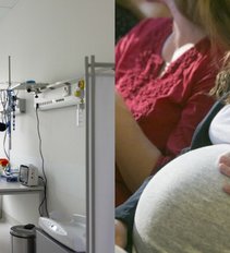 Parvovirusas itin pavojingas nėščiosioms (tv3.lt koliažas)