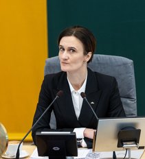 Aistrų fontanas Seime: reikalauja stabdyti darbą ir Čmilytės-Nielsen atsistatydinimo