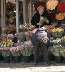 Gėlių prekyvietėse – pasiruošimas Kovo 8-ajai: vardija, kiek šiemet kainuoja gėlės