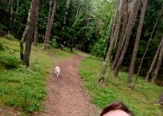 Violeta Tarasovienė, Vilius Tarasovas (nuotr. facebook.com) 3