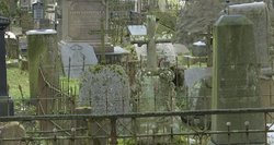 Bernardinų kapinės atsidūrė ant pavojingos ribos: ieškoma žmonių pagalbos