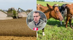 Protestuoti žadantys ūkininkai atskleidžia, kad rinka – nekontroliuojama: „Rusiški grūdai laisvai keliauja per Lietuvą“ (tv3.lt koliažas)