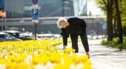Kaunas pasirūpino ryškiu fonu asmenukėms: miestą papuošė tūkstančiai įvairiaspalvių gėlių (nuotr. Kauno savivaldybės)