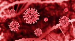Per parą šalyje – 153 nauji koronaviruso atvejai (nuotr. 123rf.com)