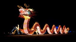 Pakruojo dvare festivalis – „Didieji Azijos žibintai. Drakonai, mitai ir legendos“ nuotr. Ryčio Šeškaičio