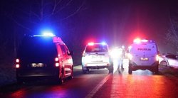 Nuo policijos sprukęs 19-metis BMW vairuotojas žuvo atsitrenkęs į medį (nuotr. Broniaus Jablonsko)