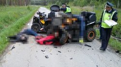  Vairuotojas kelyje aptiko šiurpų radinį: staiga išvydo krūvą lavonų (nuotr. VK.com)