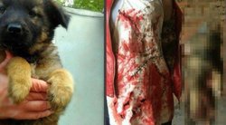 Prigautos kraugerės paauglės: išdavė „selfiai“ žudant šunyčius (nuotr. VK.com)