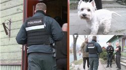 Vyras įsiuto: praeivio šuo pridergė prie pat jo namo durų, tačiau policija nubaudė jį patį (nuotr. stop kadras)