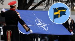 Švedijos narystė NATO (tv3.lt koliažas)