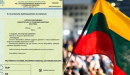 Referendumas dėl pilietybės išsaugojimo (tv3.lt koliažas)