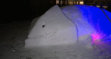 Kaunietis iš sniego sukūrė įspūdingo dydžio žvėrį: jo viduje laukia staigmena (nuotr. stop kadras)