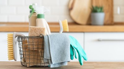 TOP7 natūralios virtuvės valymo priemonės: išbandykite (nuotr. Shutterstock.com)