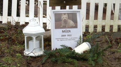 Vilniuje neliks nelegalių gyvūnų kapinių (nuotr. stop kadras)