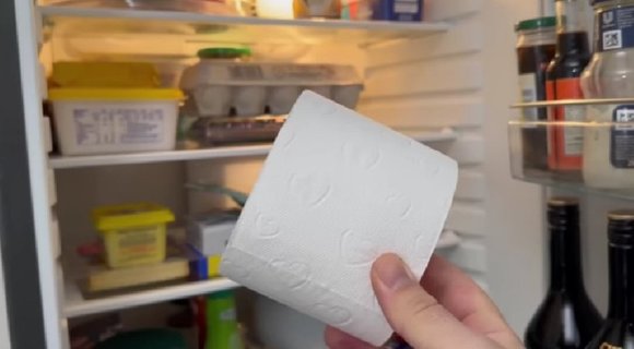 Tualetinis popierius šaldytuve (nuotr. YouTube/ekrano nuotrauka)  