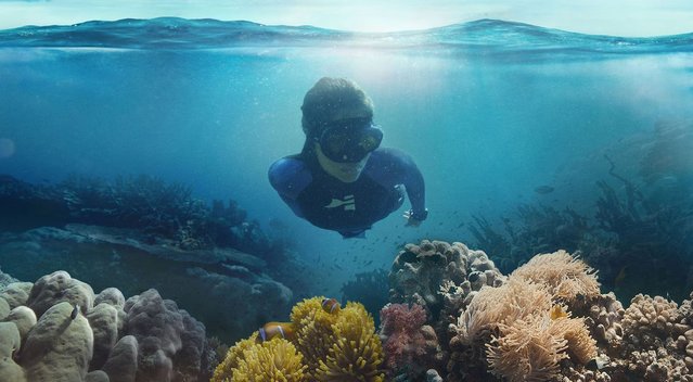 Naujas filmas atskleidžia koralinių rifų svarbą planetai  