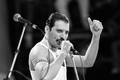 Freddie Mercury gyvenimo akimirkos (nuotr. Organizatorių)